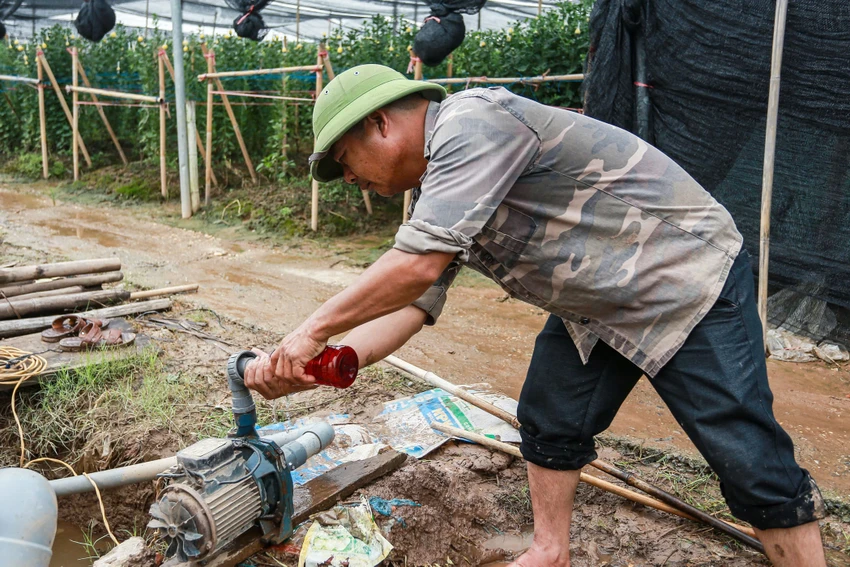 Ông Nguyễn Khắc Lộc - người trồng hoa lâu năm ở làng hoa Tây Tựu