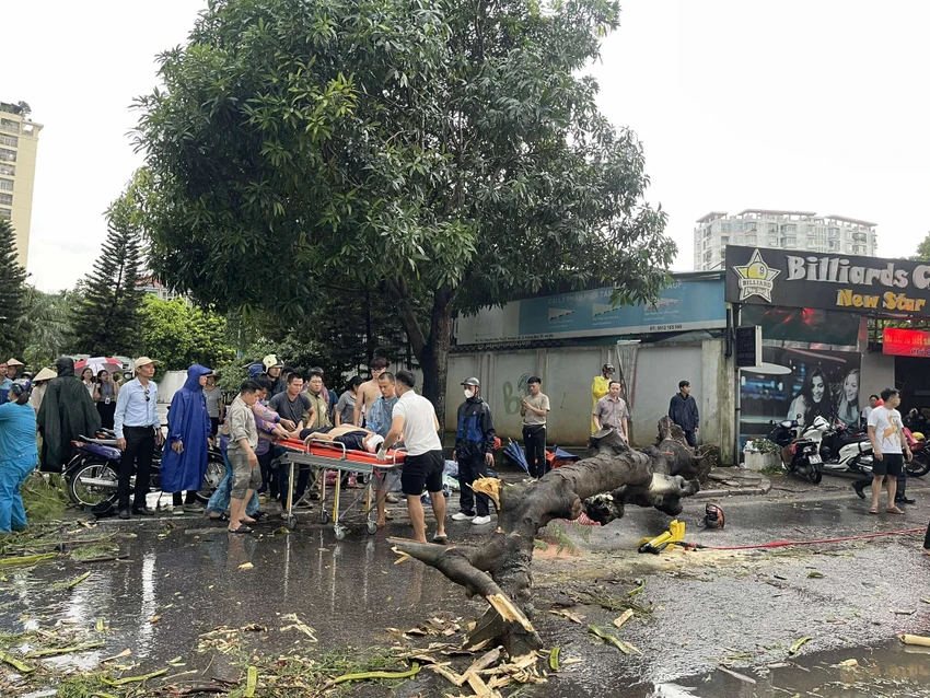 Cây ngã do cơn mưa lớn ở Hà Nội, 2 người thương vong