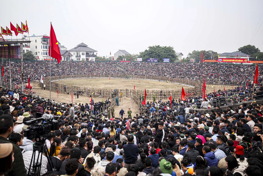 le-hoi-choi-trau (3).JPG
