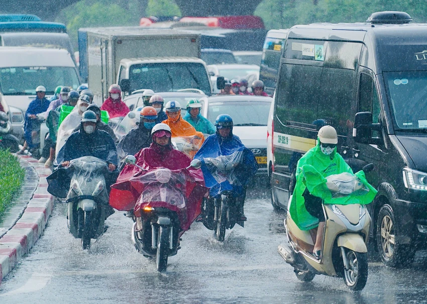 cơn mưa rào