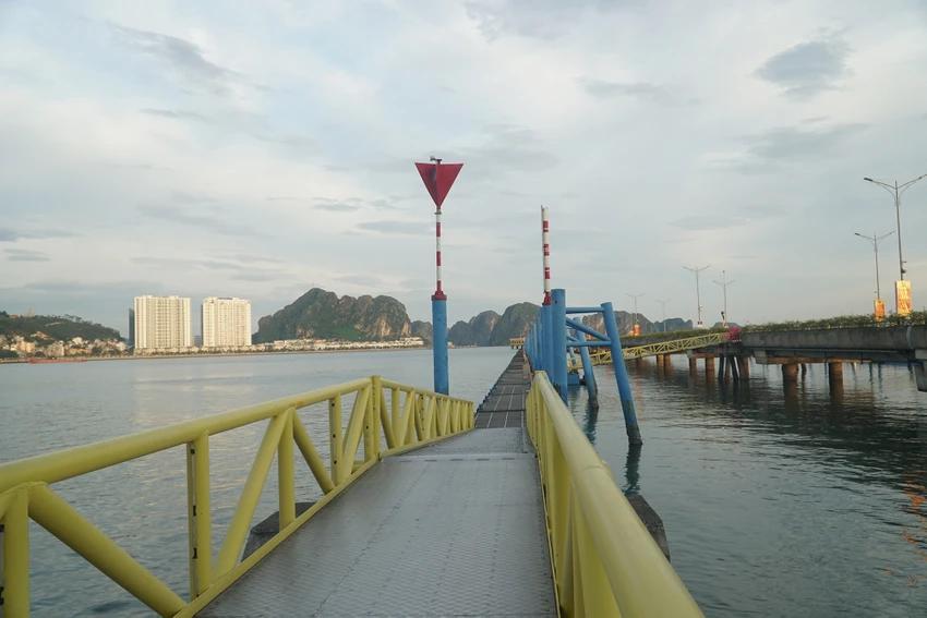 bao-so-9 (1).JPG