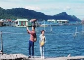 Dương Cẩm Lynh "say nắng" Lương Thế Thành 