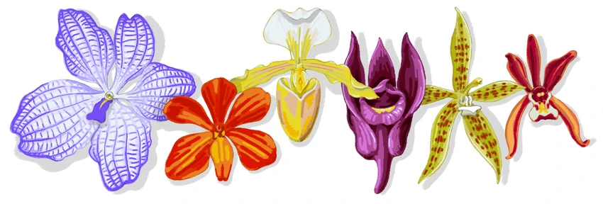 Giáo sư Sagarik là ai mà được Google Doodle vinh danh? ảnh 3