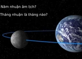 Năm nhuận trên Google Doodle 