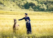 Miss World tung clip giới thiệu của hoa hậu Lương Thùy Linh 