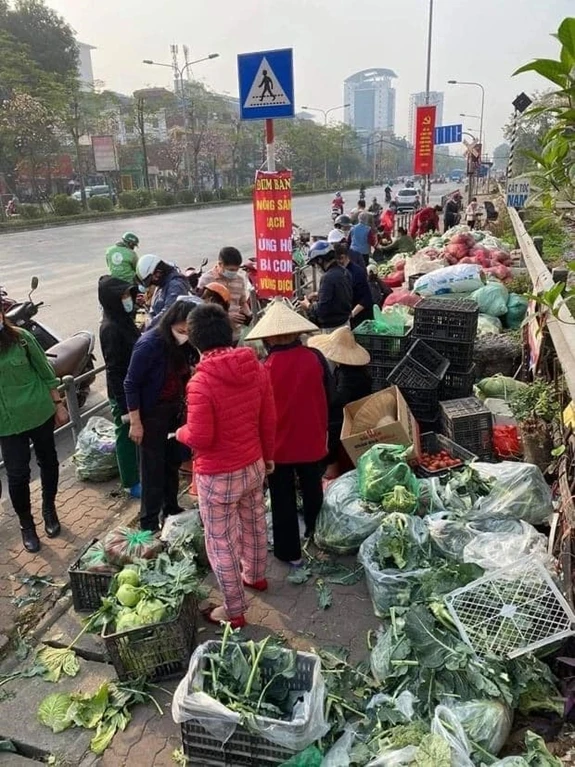 Lê Dương Bảo Lâm giải cứu nông sản giữa mùa dịch COVID-19 ảnh 3 Lê Dương Bảo Lâm giải cứu nông sản giữa mùa dịch COVID-19 ảnh 3