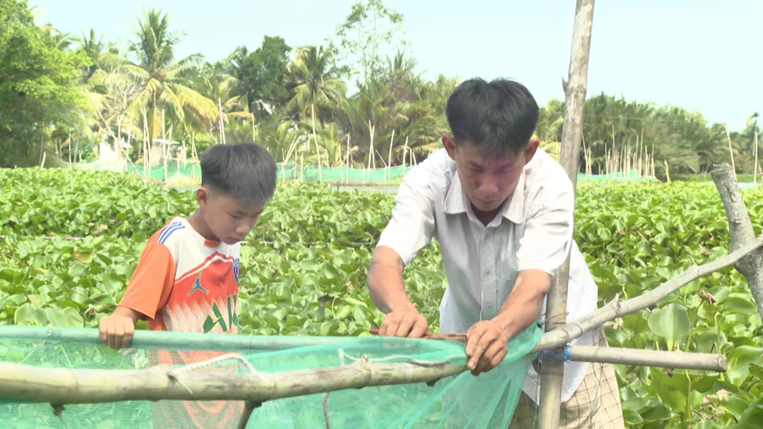 Công việc của anh Thái.