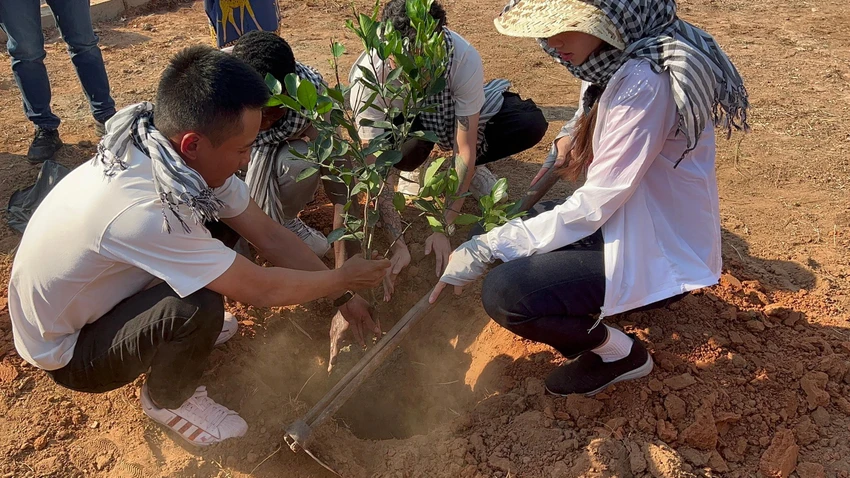 Cây cam được trồng gần giếng nước. Cây cam được trồng gần giếng nước.