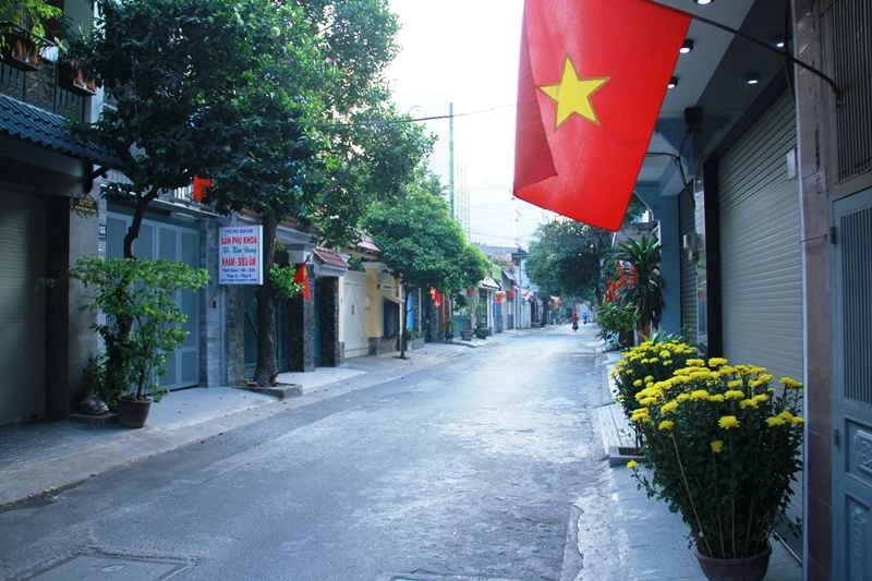 Phố Sài Gòn lãng mạn ngày đầu năm ảnh 7 Phố Sài Gòn lãng mạn ngày đầu năm ảnh 7