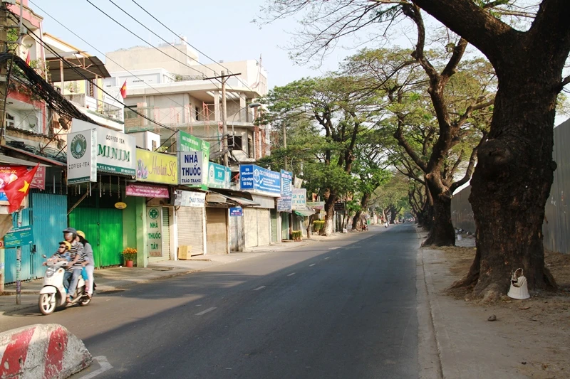 Phố Sài Gòn lãng mạn ngày đầu năm ảnh 14 Phố Sài Gòn lãng mạn ngày đầu năm ảnh 14