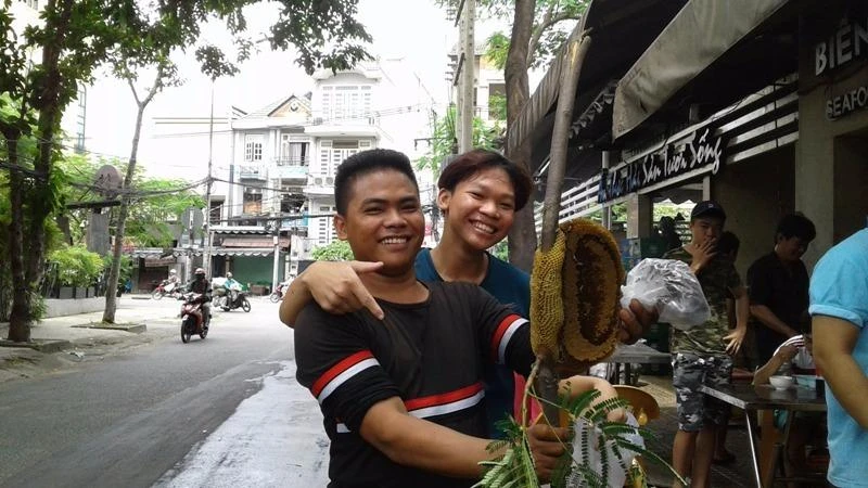 Leo cây, bắt tổ ong náo động phố Sài Gòn ảnh 1 ong nhóm thanh niên bắt được. Ảnh: NGUYỄN TRÀ