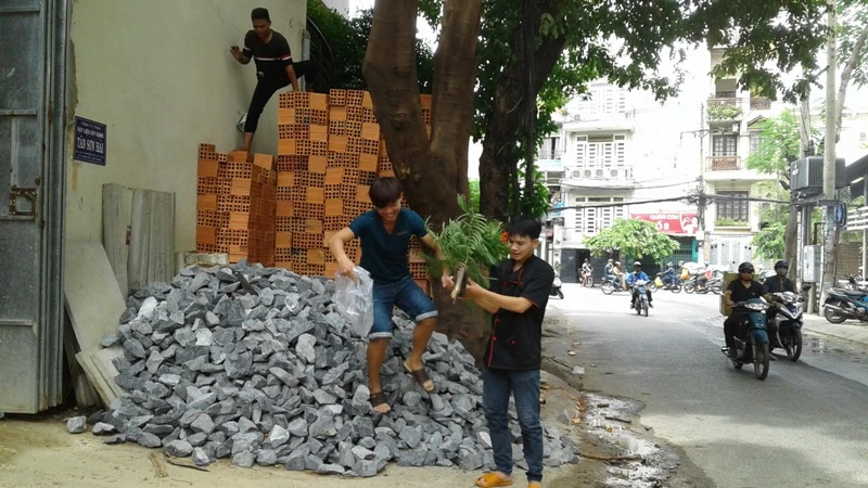Leo cây, bắt tổ ong náo động phố Sài Gòn ảnh 3 Tổ ong được chuyển xuống.