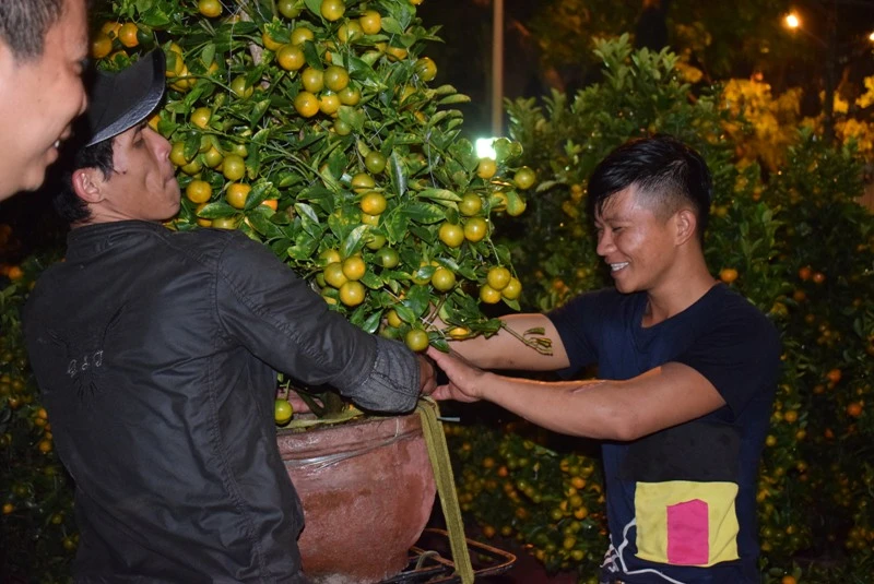3 mẹo nhỏ để có cây kiểng đẹp, chơi lâu ngày Tết ảnh 4 3 mẹo nhỏ để có cây kiểng đẹp, chơi lâu ngày Tết ảnh 4