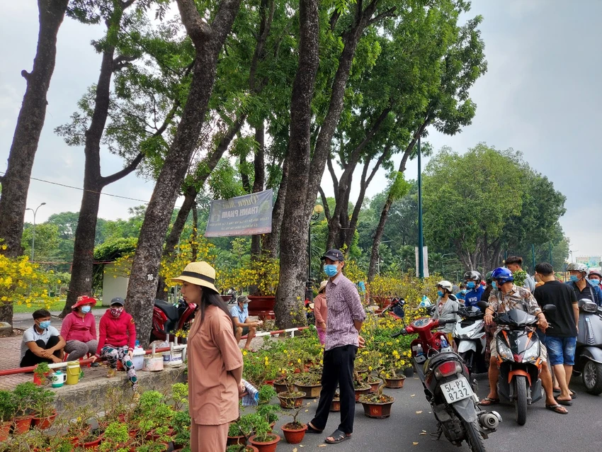 Ngày 30 Tết: Tấp nập mua bán, cây kiểng 'cháy hàng' ảnh 7 Ngày 30 Tết: Tấp nập mua bán, cây kiểng 'cháy hàng' ảnh 7