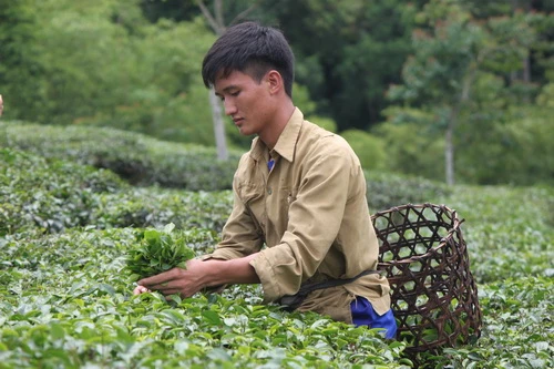 Thủ khoa xứ Nghệ ‘đùm’ cơm đến trường: 7 năm sau tiếp tục là thủ khoa ảnh 6