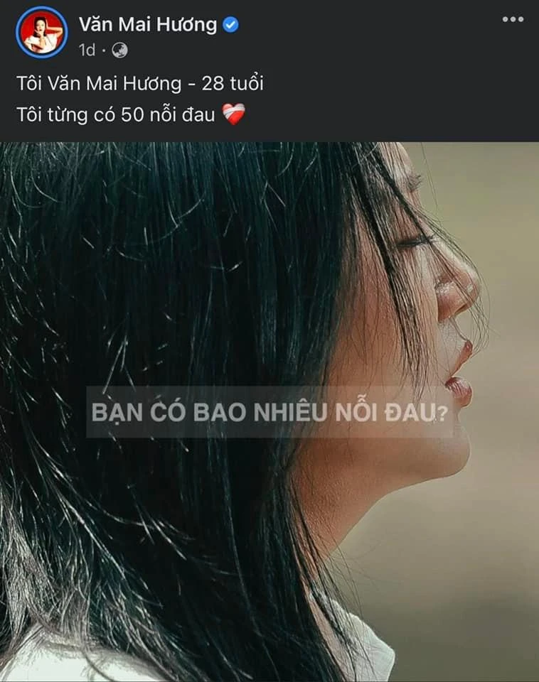 Sự thật vụ Văn Mai Hương từng có 50 nỗi đau ảnh 1 Sự thật vụ Văn Mai Hương từng có 50 nỗi đau ảnh 1