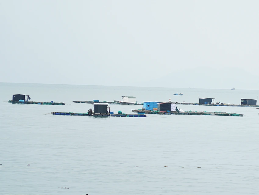 Ninh Thuận: Huy động toàn lực ứng phó bão Damrey ảnh 14 Ninh Thuận: Huy động toàn lực ứng phó bão Damrey ảnh 14