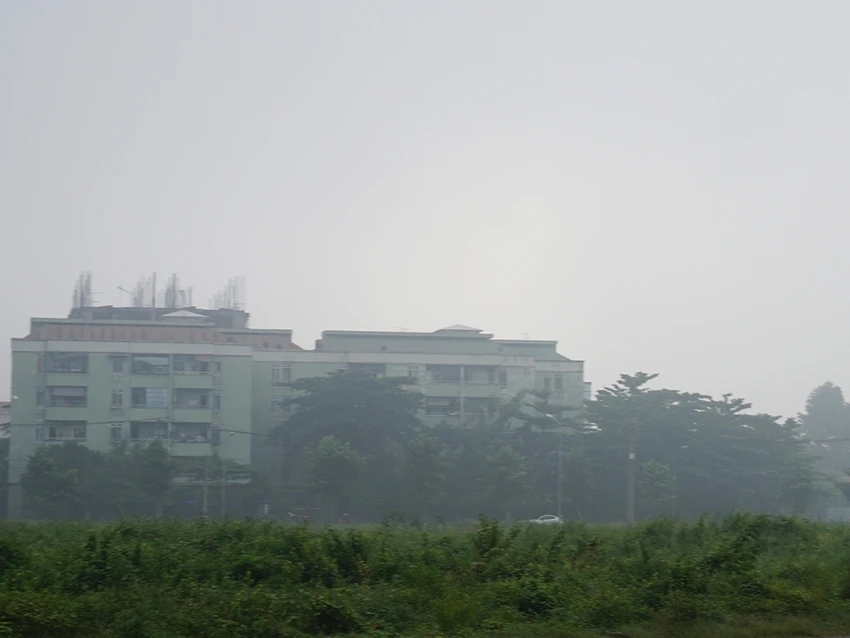 TP.HCM có sương mù như Đà Lạt ảnh 5