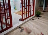 Mang dao đi tìm vợ và cái kết bi thảm