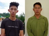 Khởi tố vụ đưa người Trung Quốc trái phép vào TP.HCM