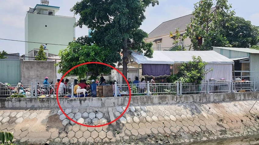 Đoạn kênh thiếu lan can nằm ngay trước ngôi nhà, nơi sinh sống của gia đình hai nạn nhân. Ảnh: HT
