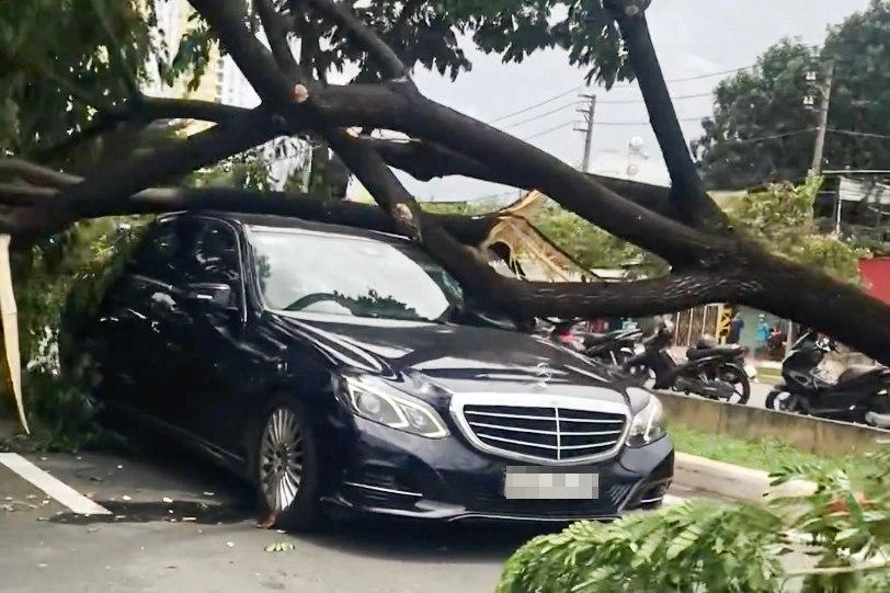 Cây xanh ngã đổ, đè trúng 3 ô tô đang dừng đèn đỏ ở đường Võ Văn Kiệt. Ảnh: HT Cây xanh ngã đổ, đè trúng 3 ô tô đang dừng đèn đỏ ở đường Võ Văn Kiệt. Ảnh: HT