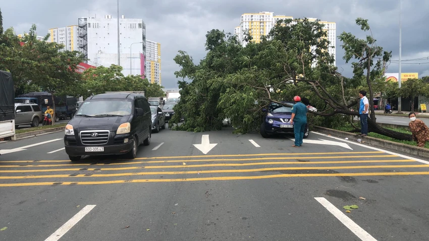 Sự cố khiến giao thông qua khu vực ùn ứ. Ảnh: HT Sự cố khiến giao thông qua khu vực ùn ứ. Ảnh: HT
