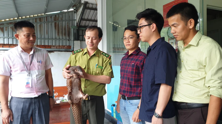 Cán bộ Chi cục Kiểm lâm TP.HCM đã tiếp nhận cá thể tê tê Java từ hai kỹ sư Khải (thứ 4 từ trái qua) và Hà (thứ 3 từ trái qua). Ảnh: NT Cán bộ Chi cục Kiểm lâm TP.HCM đã tiếp nhận cá thể tê tê Java từ hai kỹ sư Khải (thứ 4 từ trái qua) và Hà (thứ 3 từ trái qua). Ảnh: NT