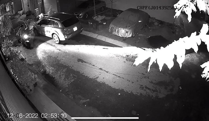 Hai người đàn ông chạy xe ba gác tới trộm cây mai cảnh. Ảnh chụp từ clip