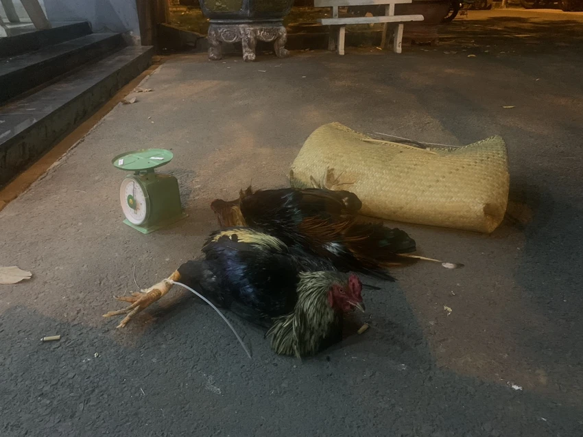 Công an thu giữ nhiều tang vật liên quan. Ảnh: HT