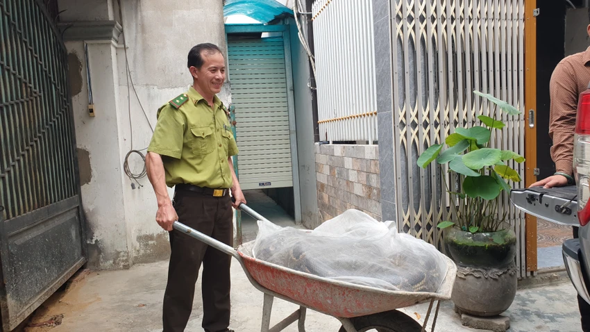 Bàn giao trăn khủng nặng hơn nửa tạ, dài 5 mét ở quận 7 ban-giao-tran-khung-hon-5-met-nang-hon-nua-ta