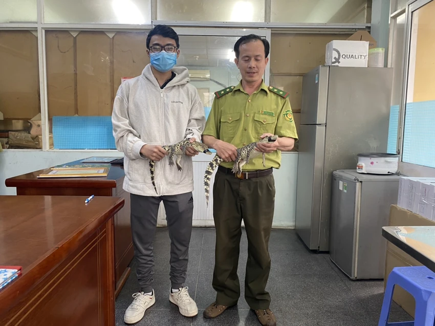 Nuôi 2 con cá sấu trong 2 năm, nam sinh bàn giao cho kiểm lâm sinh-vien-ban-giao-2-con-ca-sau-cho-kiem-lam