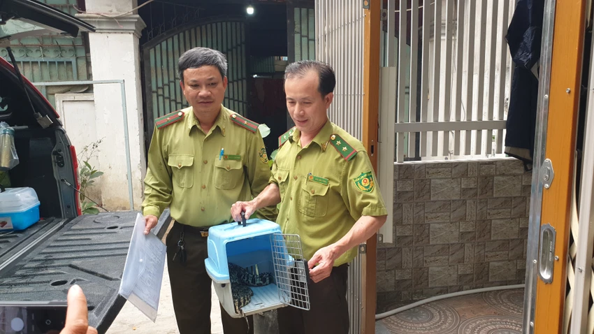 Nuôi 2 con cá sấu trong 2 năm, nam sinh bàn giao cho kiểm lâm sinh-vien-ban-giao-2-con-ca-sau-cho-kiem-lam