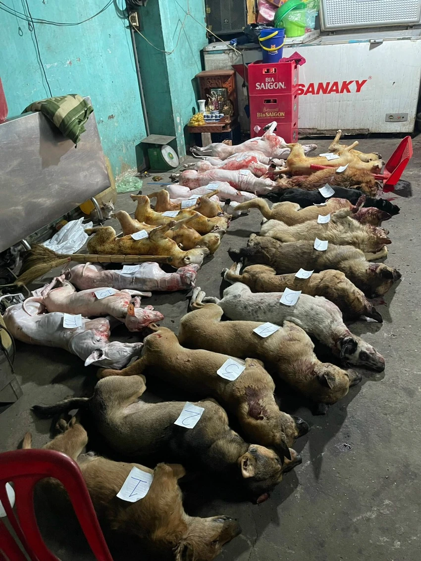 Số lượng lớn xác chó bị công an phát hiện, thu giữ. Ảnh: CA