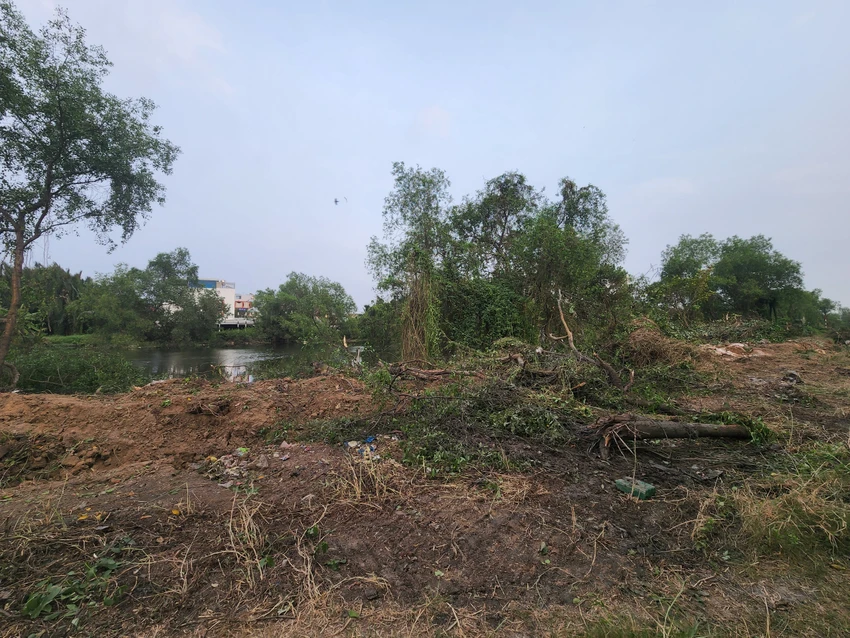 Khu vực phát hiện con trăn ở ven rạch Nước Lên. Ảnh: HT Khu vực phát hiện con trăn ở ven rạch Nước Lên. Ảnh: HT