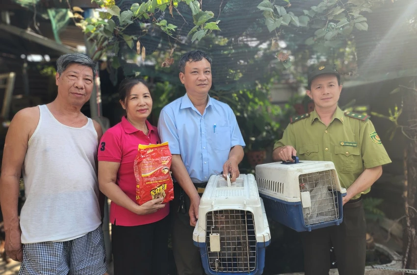 Kiểm lâm đã đến tiếp nhận hai con khỉ đưa về cứu hộ. Ảnh: HT bàn giao khỉ đuôi lợn và khỉ đuôi dài thủ đức