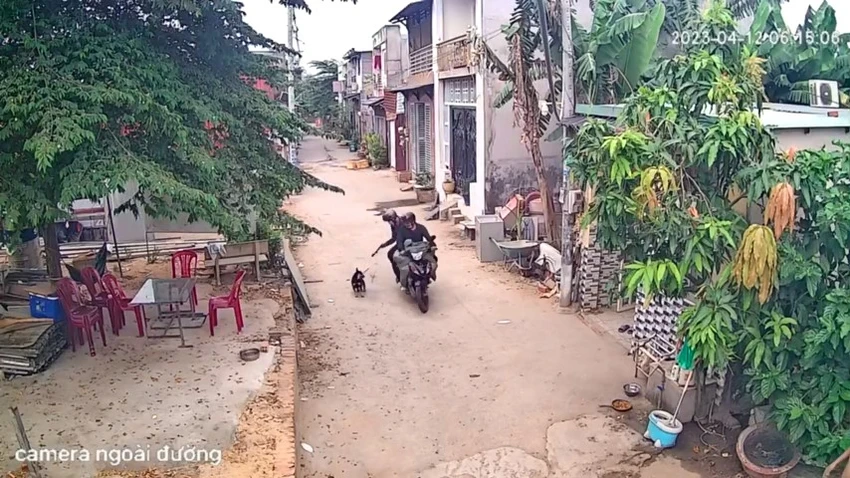 Hai thanh niên bắn trộm con chó trên địa bàn xã Vĩnh Lộc A, huyện Bình Chánh. Ảnh cắt từ clip Hai thanh niên bắn trộm con chó trên địa bàn xã Vĩnh Lộc A, huyện Bình Chánh. Ảnh cắt từ clip