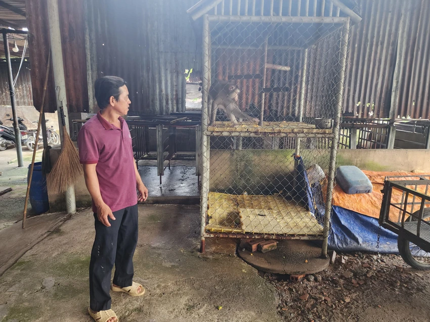 Ông Thinh sau đó đã liên hệ với kiểm lâm để bàn giao với mong muốn con khỉ được thả về tự nhiên. Ảnh: HT Ông Thinh sau đó đã liên hệ với kiểm lâm để bàn giao với mong muốn con khỉ được thả về tự nhiên. Ảnh: HT