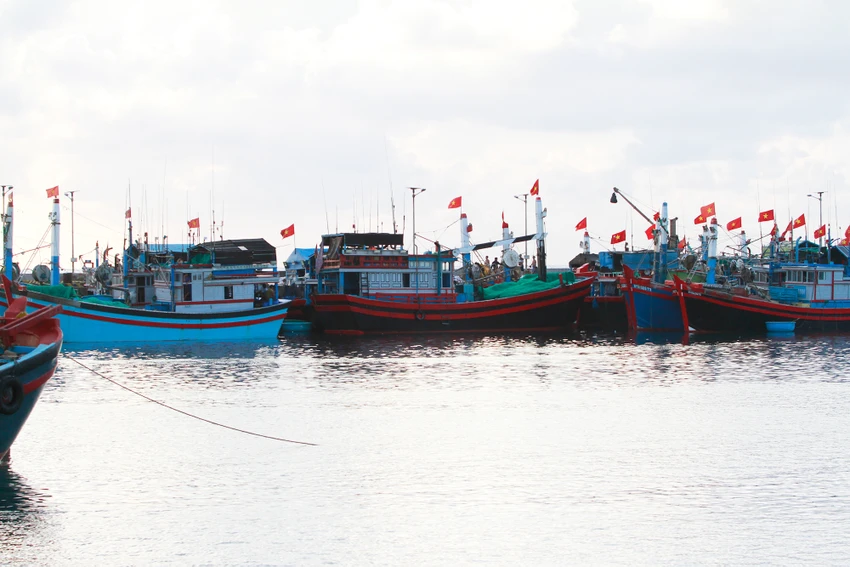 Huyện đảo Trường Sa, nơi có nhiều âu tàu, khu dịch vụ hậu cần nghề cá và lực lượng hải quân luôn sẵn sàng giúp đỡ ngư dân vươn khơi, bám biển. Ảnh: NT Huyện đảo Trường Sa, nơi có nhiều âu tàu, khu dịch vụ hậu cần nghề cá với lực lượng hải quân luôn sẵn sàng giúp đỡ ngư dân vươn khơi, bám biển