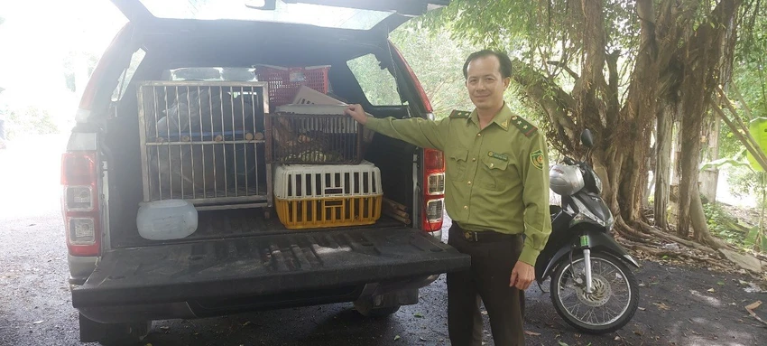 28 cá thể động vật hoang dã được thả về tự nhiên sau khi được Chi cục Kiểm lâm TP.HCM cứu hộ, chăm sóc. Ảnh: HT 28 cá thể động vật hoang dã được thả về tự nhiên sau khi được Chi cục Kiểm lâm TP.HCM cứu hộ, chăm sóc. Ảnh: HT