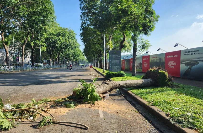 Trận mưa kèm giông lốc dữ dội đêm 22-6 (tức Tết Đoan Ngọ, mùng 5-5, Âm lịch) khiến nhiều tuyến đường ở TP.HCM ngập nặng, cây ngã đổ, nhà tốc mái. Ảnh: HT
