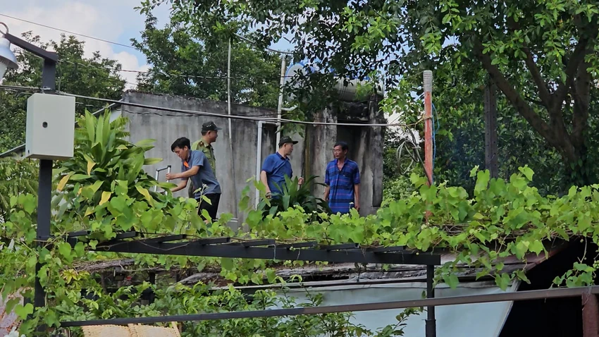 khỉ quậy