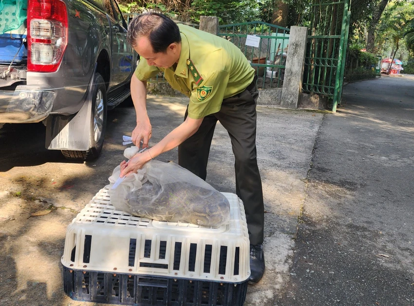 nguoi-dan-ong-o-tp-thu-duc-ban-giao-con-khi-16kg-nuoi-5-nam-cho-kiem-lam-3-2521.jpg