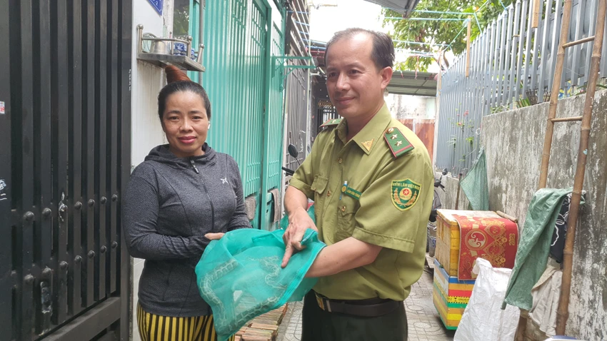 Trăn dài 60cm bò vào nằm cạnh người phụ nữ lúc rạng sáng ở quận 12