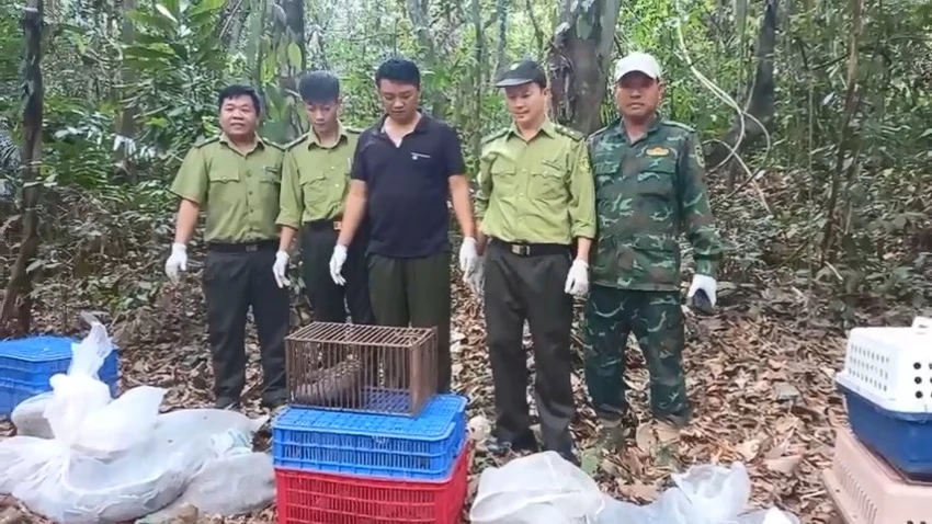 Rái cá quý hiếm 'lưu luyến' các cán bộ kiểm lâm khi được thả về Đồng Nai