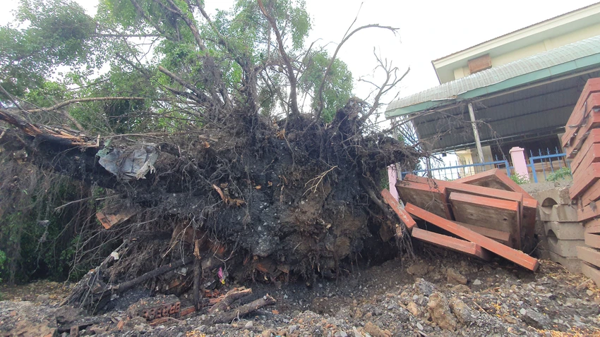 mua-loc-toc-mai-nha-cay-do-cac-cong-nhan-du-an-duong-vanh-dai-3-phai-nap-gam-ban-7.jpg