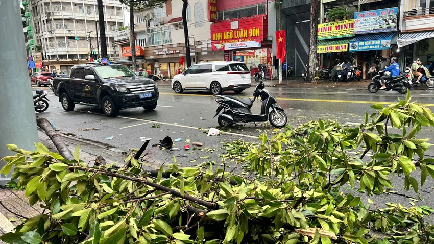 Mưa to gió lớn, hàng loạt cây bật gốc, gãy đổ đè người đi đường
