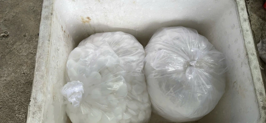 Trưởng phòng kinh doanh lén bán 2,55 tấn chất độc Xyanua ra thị trường