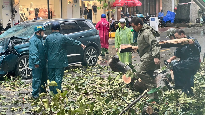 Mưa to gió lớn, cây đổ hàng loạt đè nhiều ô tô ở TP.HCM