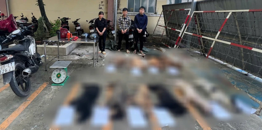 2 người trộm chó, 1 người mua chó bị Công an TP.HCM bắt khẩn cấp